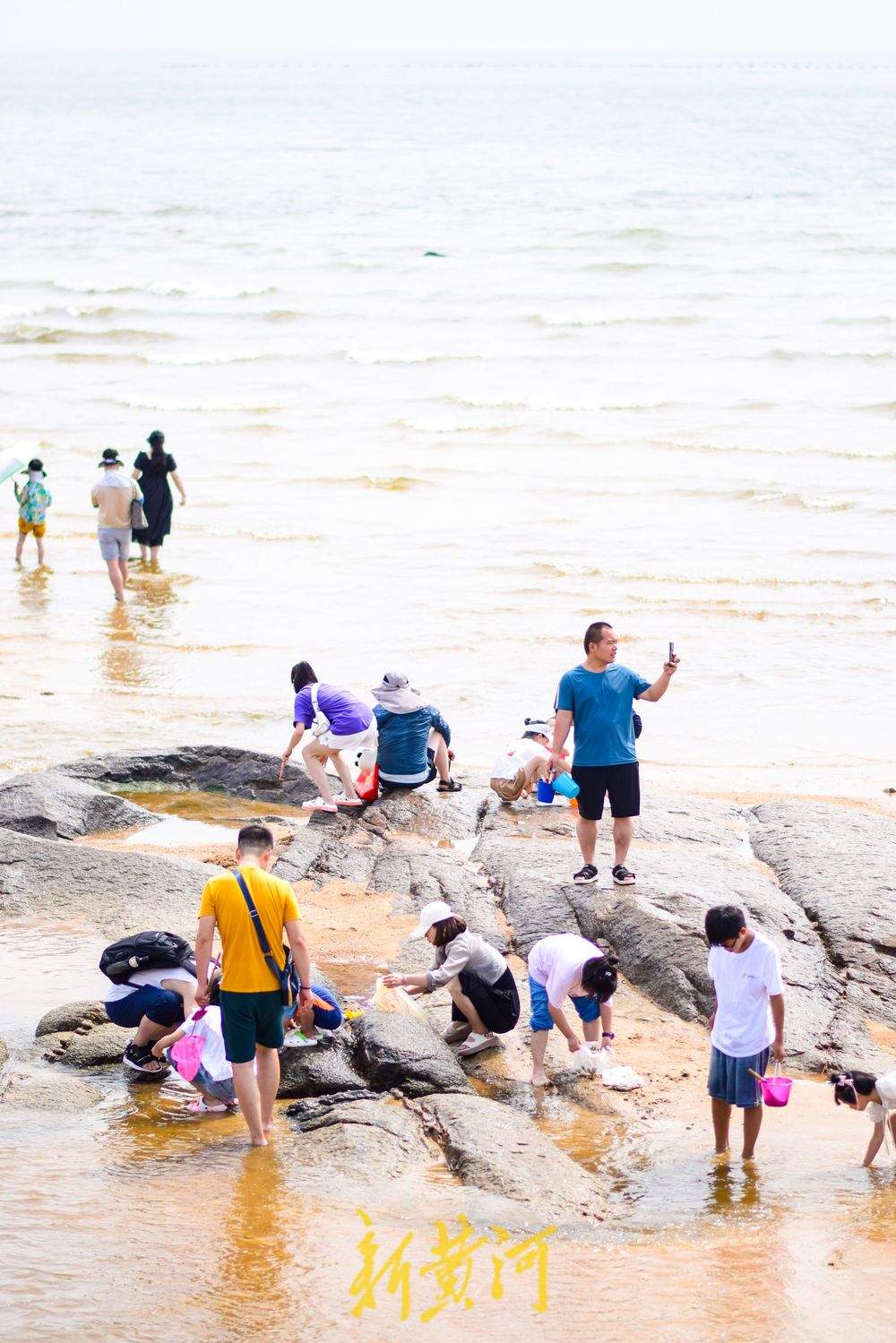 踏浪赶海讨海货，夏日来山东玩海吧