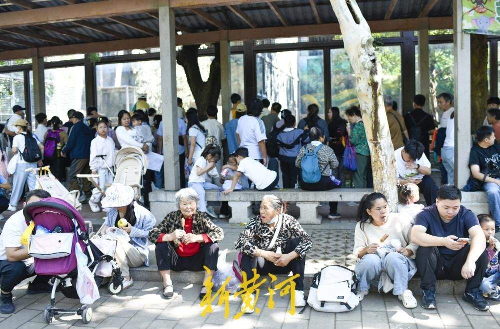 济南动物园成“遛娃胜地”，全家出游乐享亲子时光