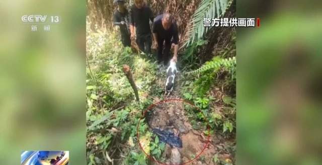 千人进山、警犬追踪 多方合力搜寻13天找到失联男童
