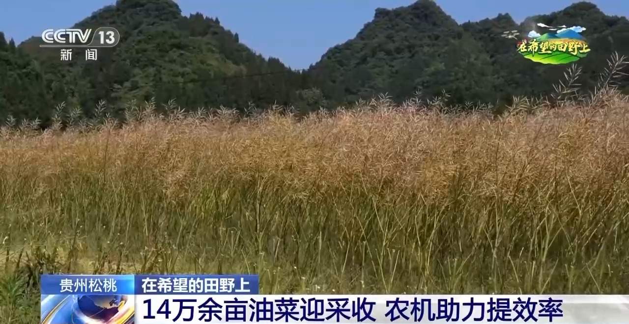 收割机装上摄像头、无人插秧机“上岗”……各地尽显科技范儿