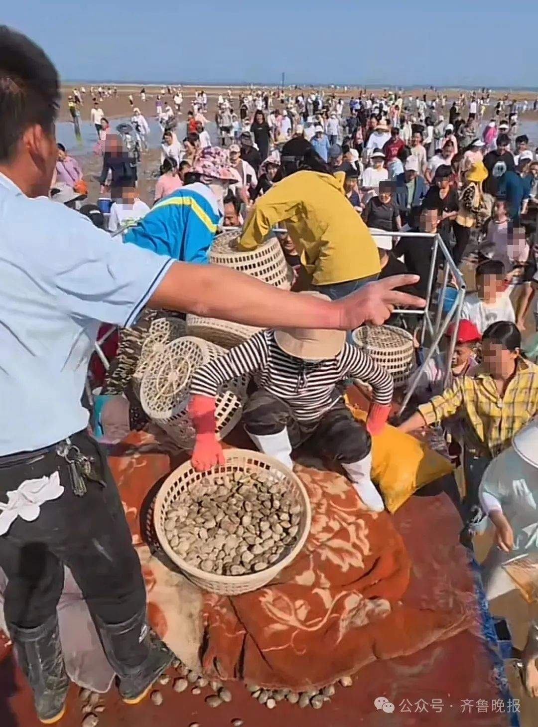 都不白来！山东一景区怕游客赶不到海，日撒3000斤蛤蜊