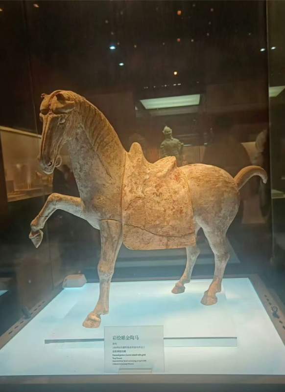 “彩绘抬腿陶马”倾倒腿部断裂,洛阳博物馆回应