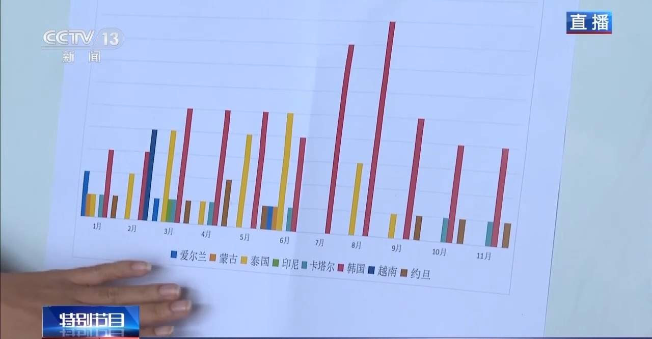 订单排到11月！海南自贸港如何让国际航司从“头回客”变“回头客”