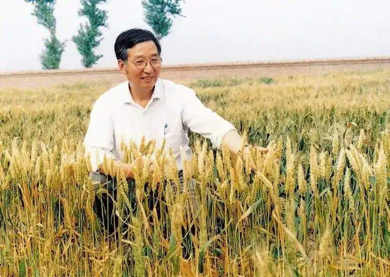 山东农人守护大国粮仓