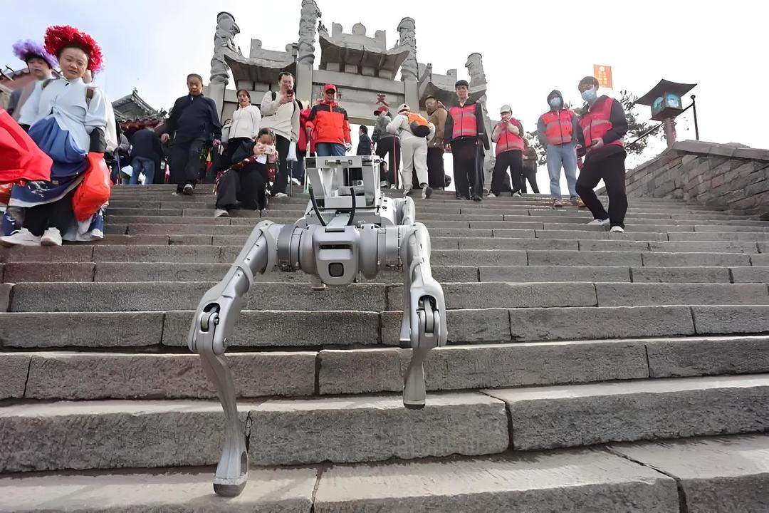 从5.6%中,看山东这样挑大梁