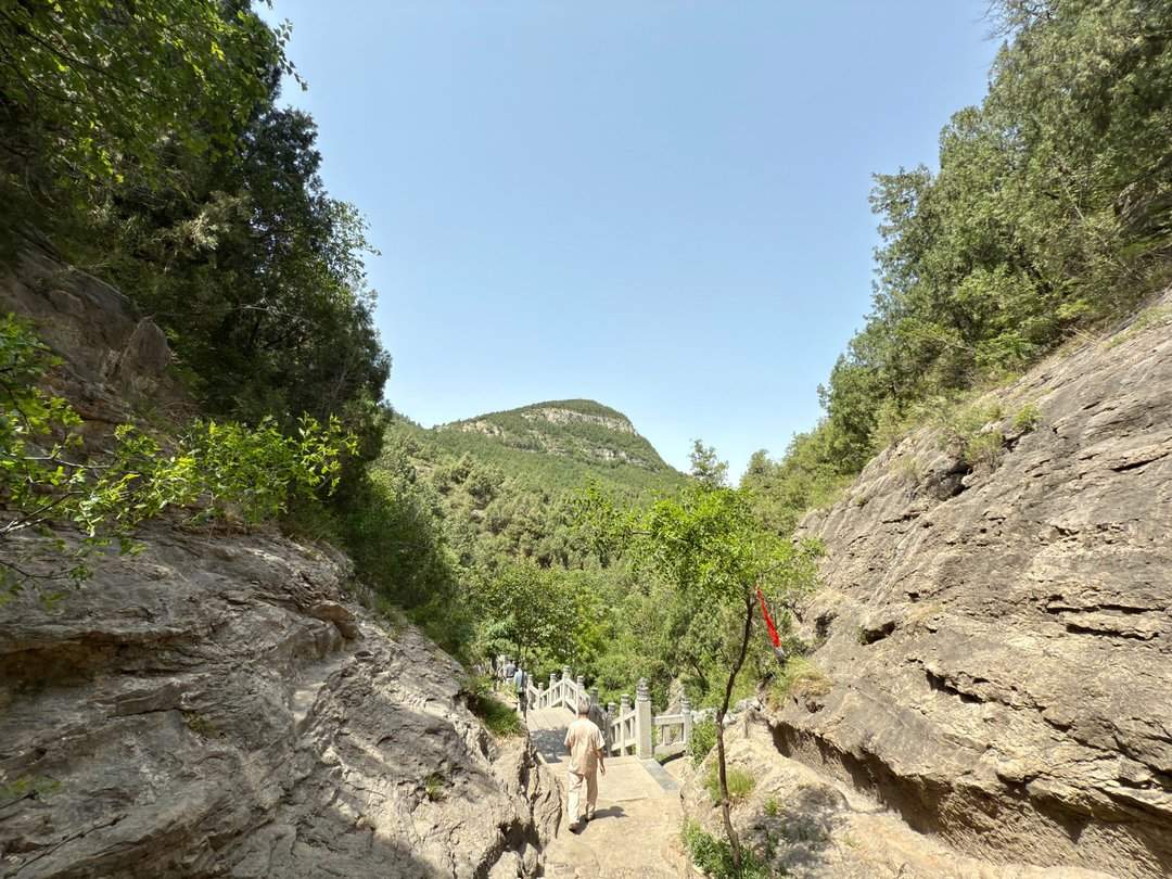 人头攒动，佛慧山公园成热门“打卡地”