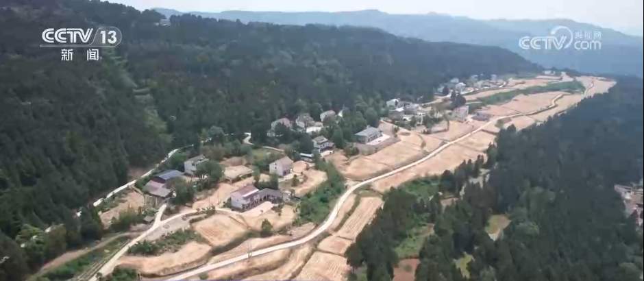 科技“组合拳”追“丰”正当时 多措并举打赢“三夏”关键仗