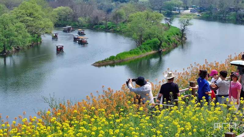【习声回响·聆听温暖中国】鸟鸣青山绿水 古村生态焕新