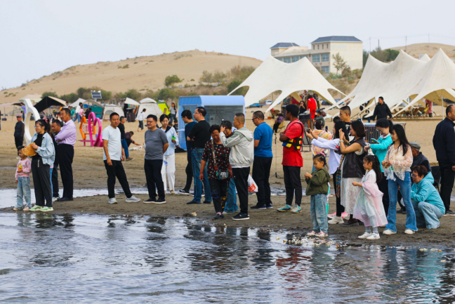 国庆假期 新疆博斯腾湖景区开启“人景共欢”模式