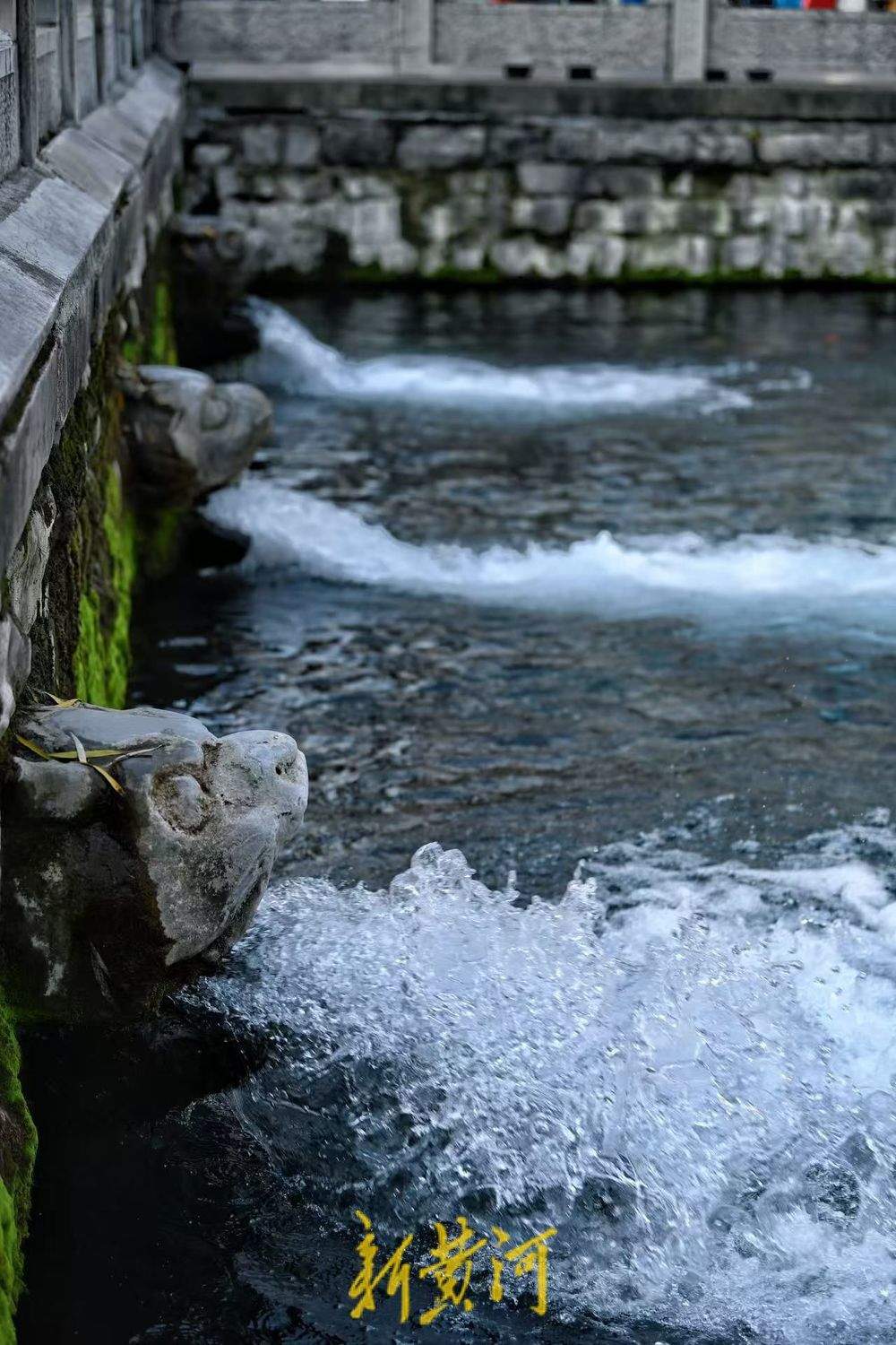 济南：小寒泉涌 独具风采