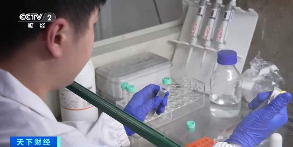 全球首个！我国科学家成功绘制出全球首个海洋最深生态系统图景