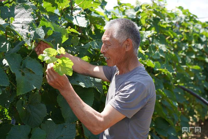 【牢记嘱托·看见美好中国】绿了山村 富了乡亲