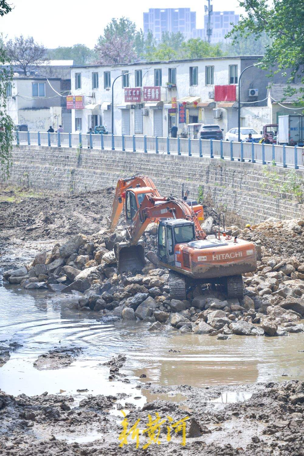两河交汇处河道清淤 上千袋淤泥“搬新家”