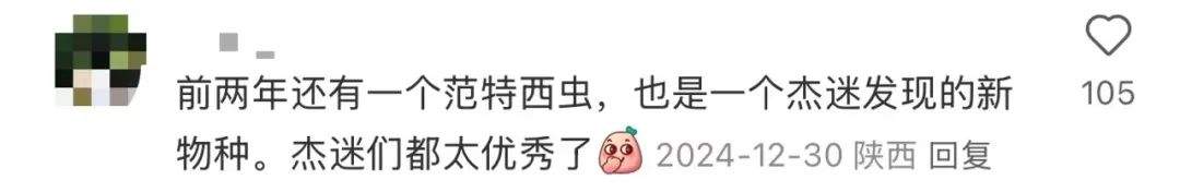 稻香、龙拳、星晴……新种蜘蛛“歌单式”命名,“你的歌迷已经是科学家了!”