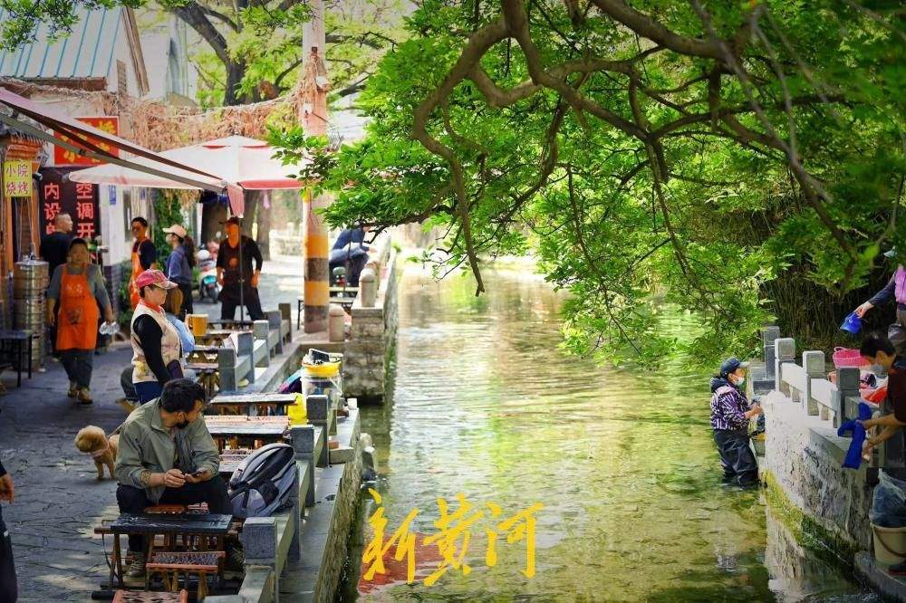 济南：小桥流水人家 春日于家桥景如夏