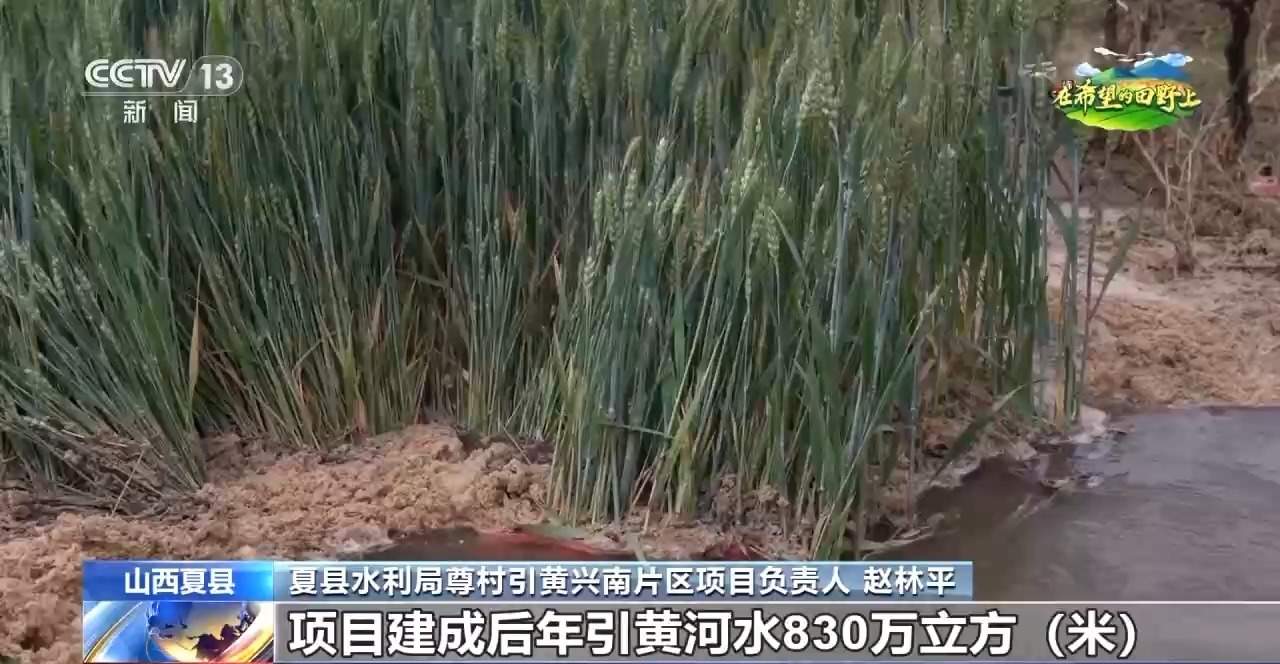 收割机装上摄像头、无人插秧机“上岗”……各地尽显科技范儿