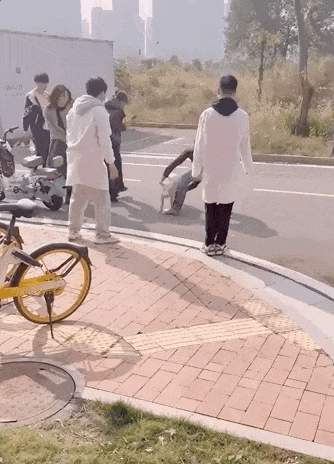 “我的论文被谁偷吃了” 农学生毕业论文惨遭“毒手”