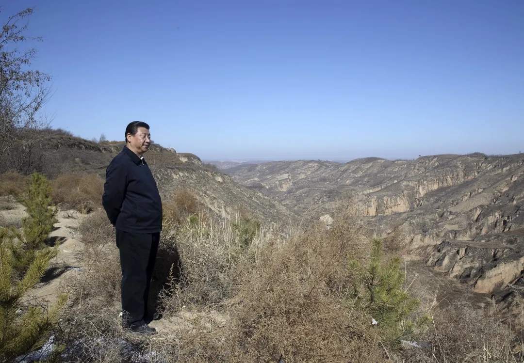 人民领袖｜黄土地上的生态守望