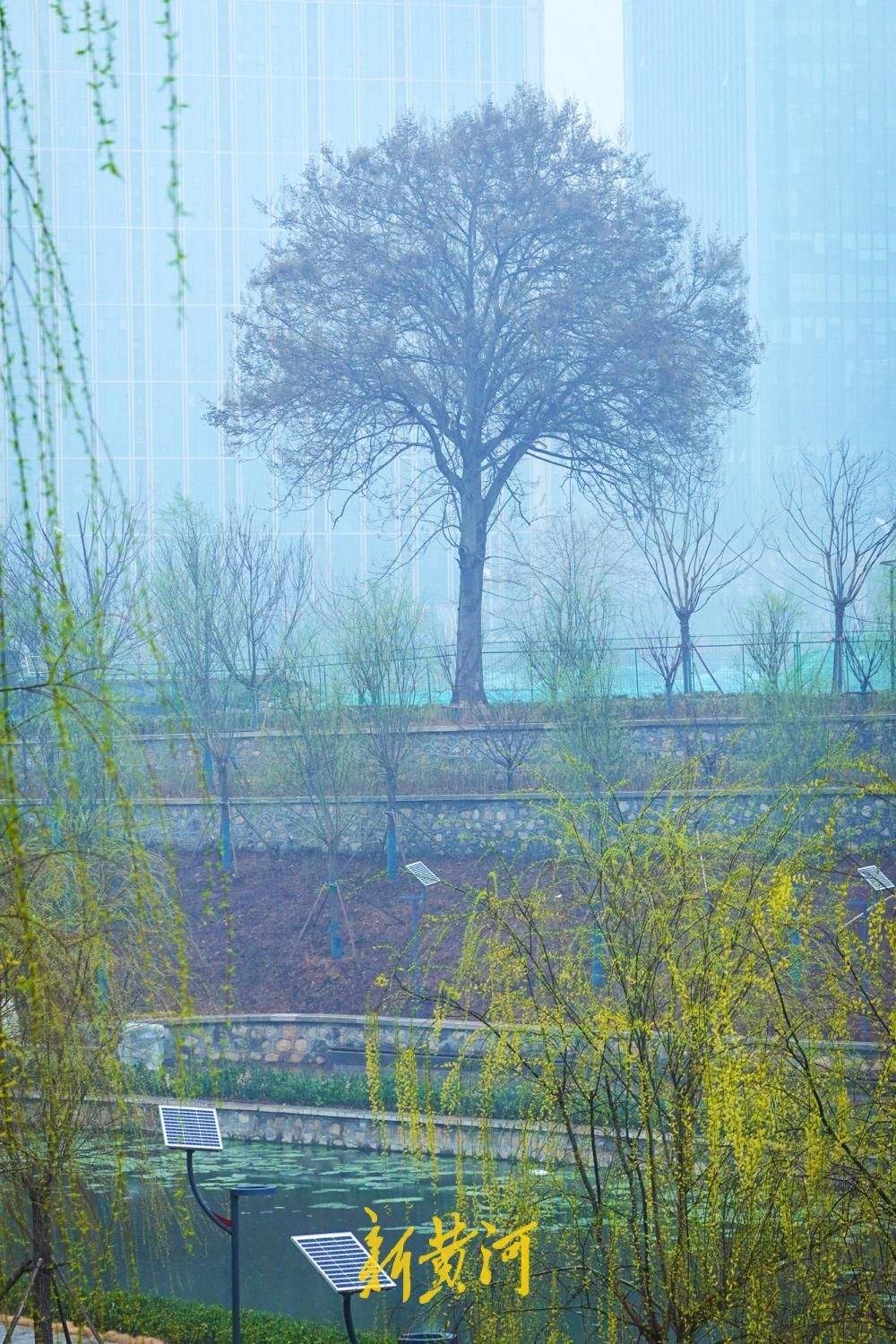 水清、河畅、岸绿、景美,改造后的济南大辛河换新颜