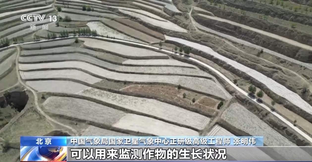 全年第一个收获时节到了 北方冬麦区需防范“干热风”天气