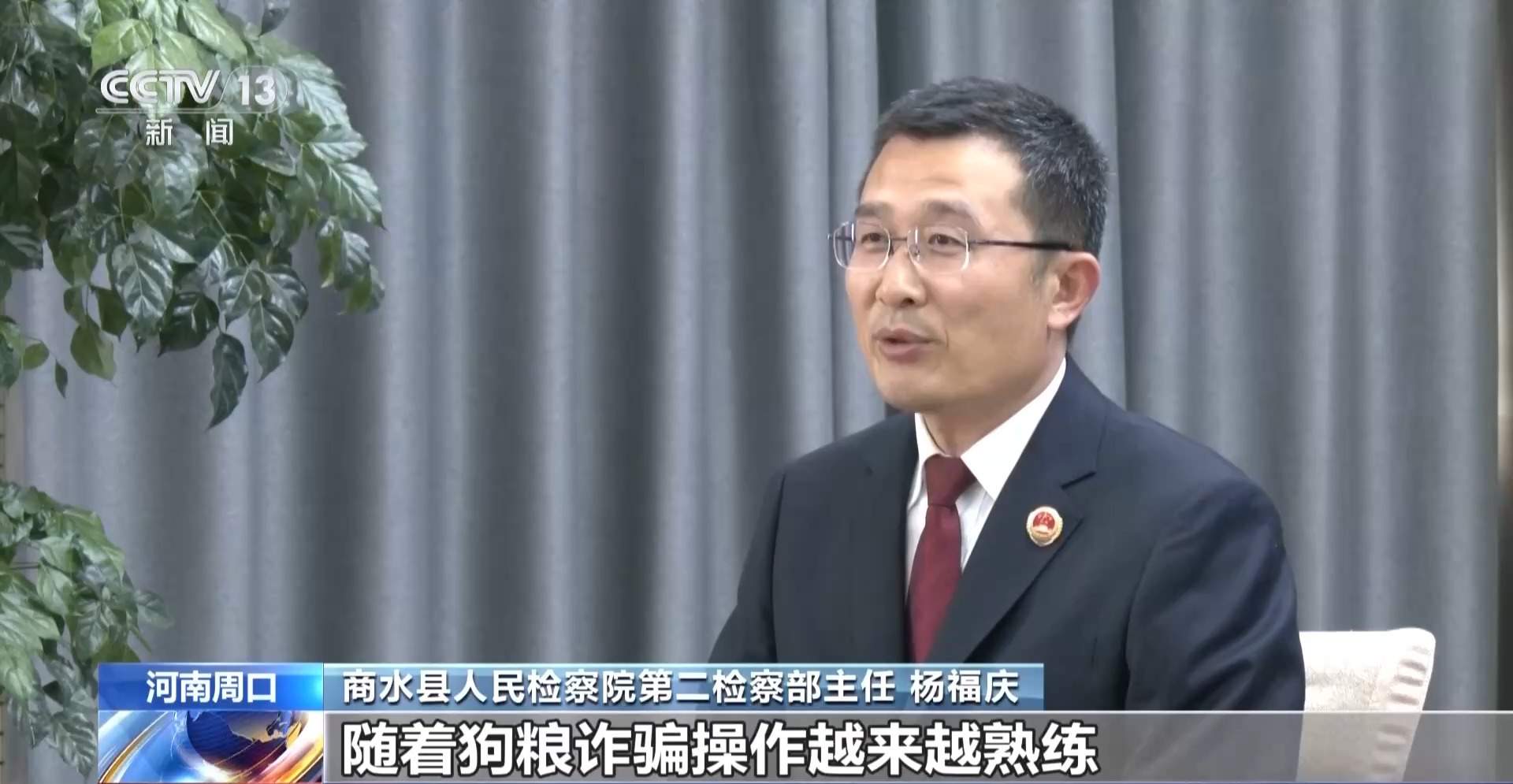 骗250万善款仅3000元用在狗身上 起底流浪动物网络救助骗局
