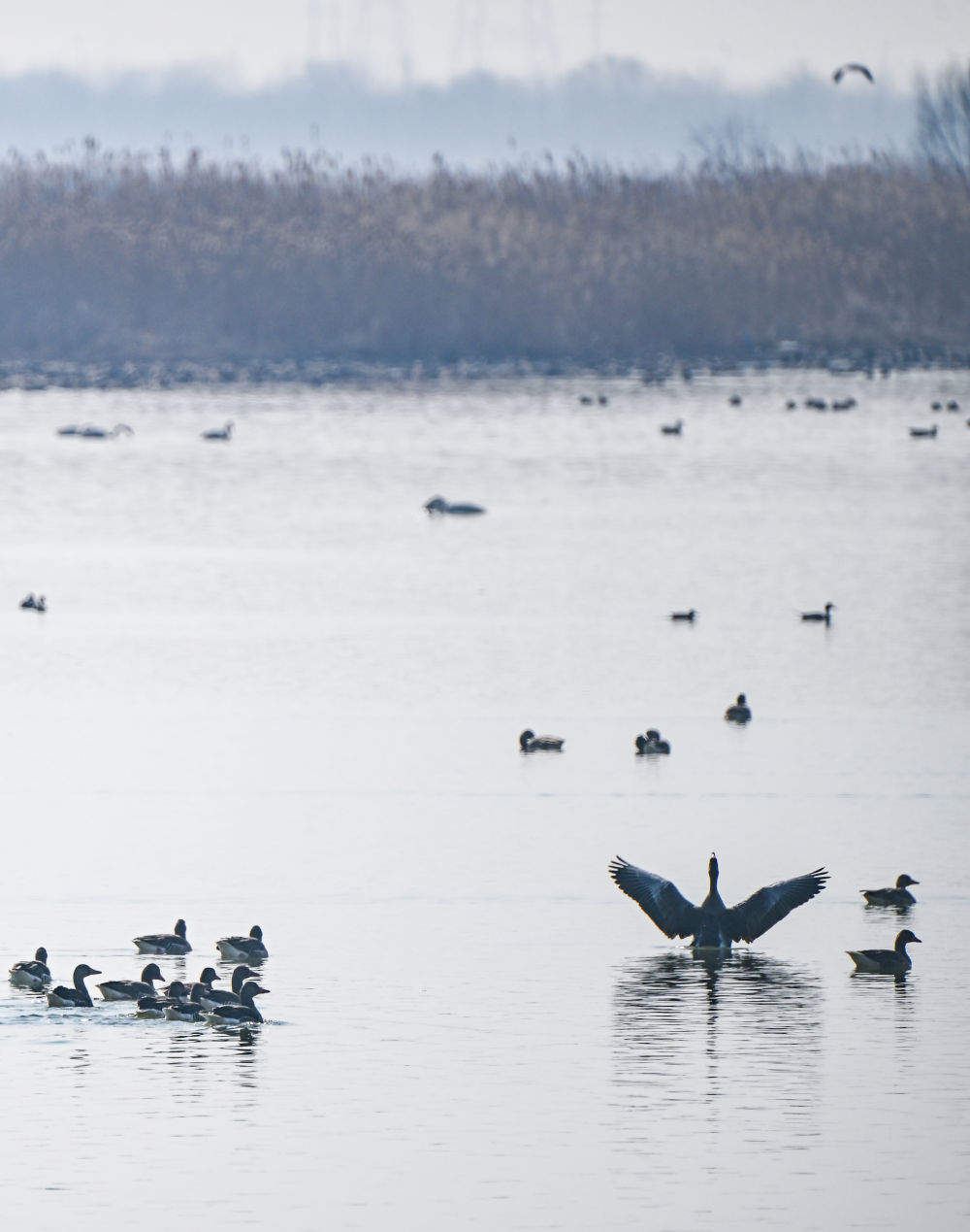 一座中国村庄的“气候民生”