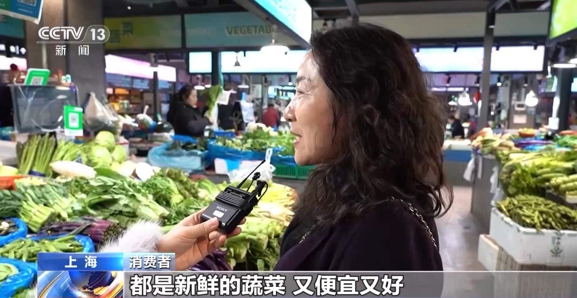 春菜陆续上市 消费者选购“第一口鲜”