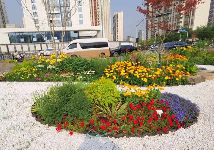 鱼跃鸢飞·花涌泉城,微缩园林景观亮相泉城街头