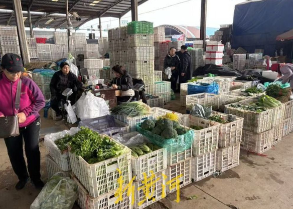 大白菜批发价每斤不到4毛钱 济南菜价七连降，天冷后将逐步涨价