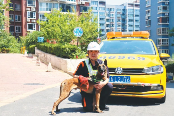 “超燃汪汪隊”上崗 “人+車+犬”聯動模式助力高效排查燃氣安全隱患