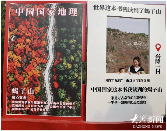 燕子、蝎子、蚰蜒、老虎……泉城济南竟然有一套有趣的“动物山名图谱”