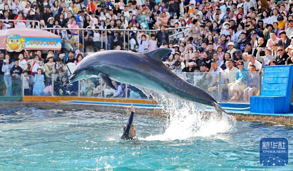 2025年“五一”假期国内出游3.14亿人次