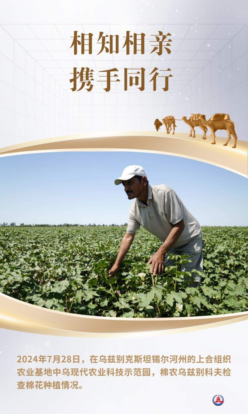 相知相亲 携手同行