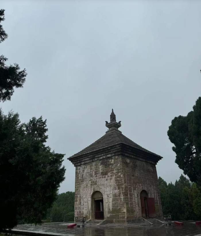 “泉”在济南享金秋｜因“悟空”爆火的四门塔，还有个绰号叫“猫猫寺”