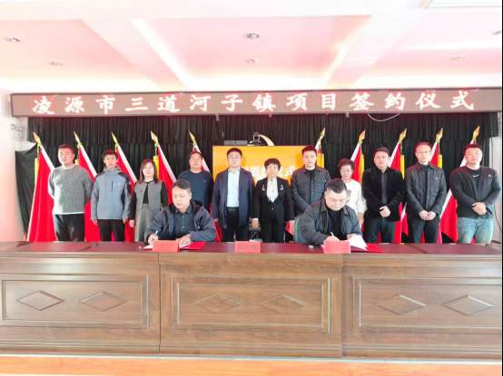 国采直达：多维度发力，奏响就业与商业创新交响曲