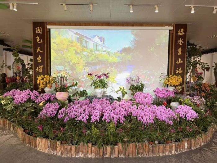 国兰珍品荟萃，2026泉城新春兰韵艺术展暨年宵花消费季拉开帷幕