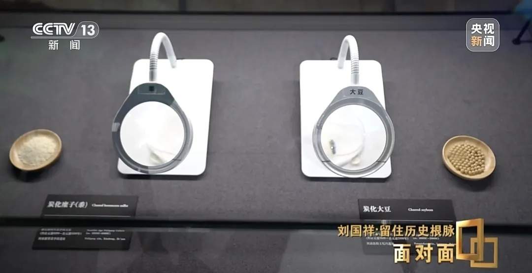 听说,它是“最难预约的博物馆”……