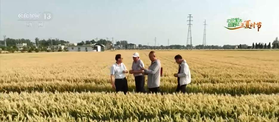 智能农机“唱主角” 希望的田野描绘好“丰”景