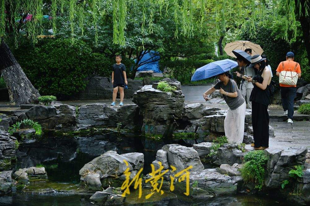 一年四季 泉在济南丨雨后五龙潭人气旺 “龙潭观鱼”别有意境