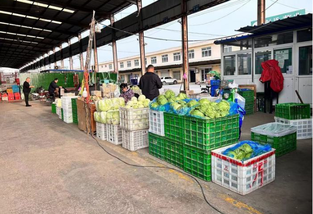 菜价降了，15种常规蔬菜均价3.28元 济南及周边地区产出的蔬菜陆续上市