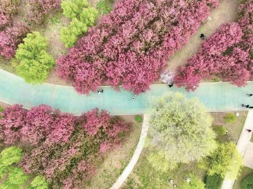 “泉”在济南过五一｜郁金香油菜花领衔，泉城花海再上新