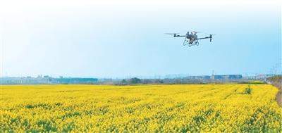 春耕春管里的“常客”变了，现在是它们