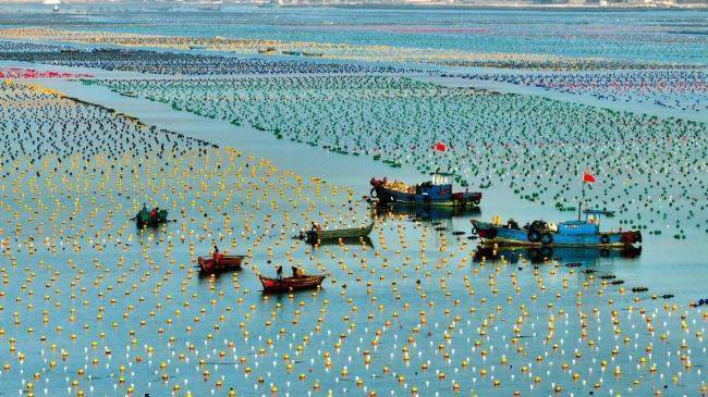 ​青春华章 向海图强