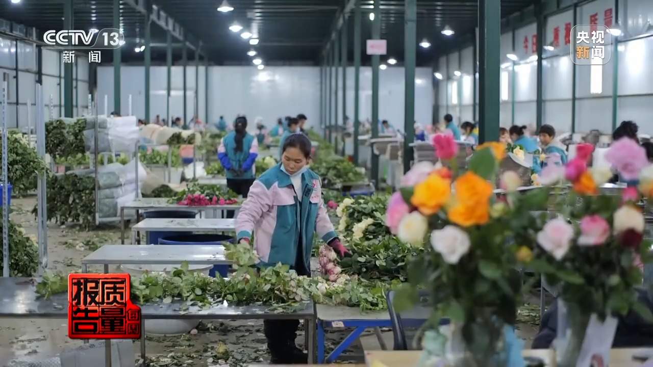 小鲜花大市场,这份美丽的事业正蓄势绽放