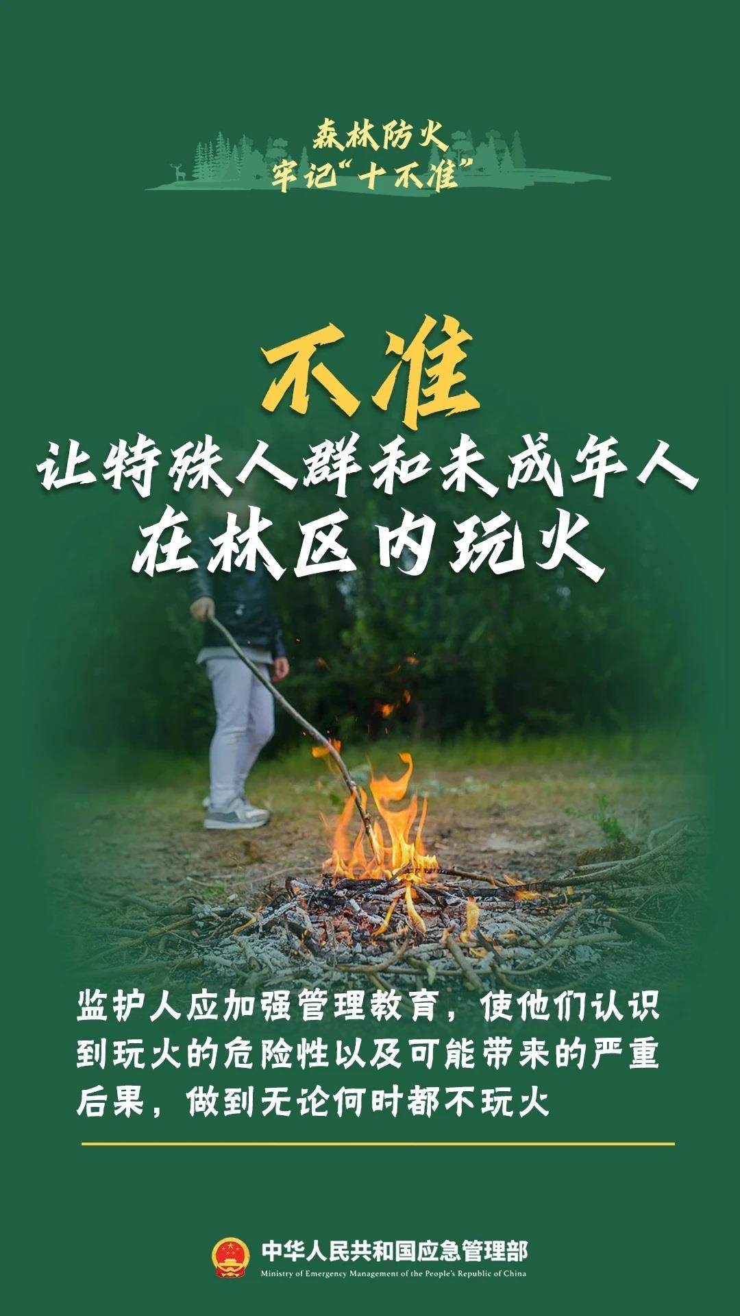违规野外用火危害大森林防火十不准一定要牢记