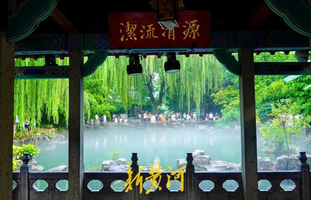 一场急雨过后 趵突泉公园泉池现“云雾润蒸”奇观