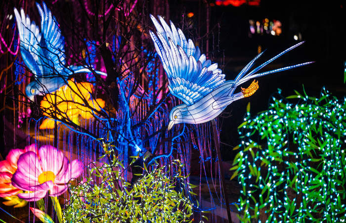 济南赏花灯有了新去处！起步区“大河华章·光耀鹊华”新春灯会等您看