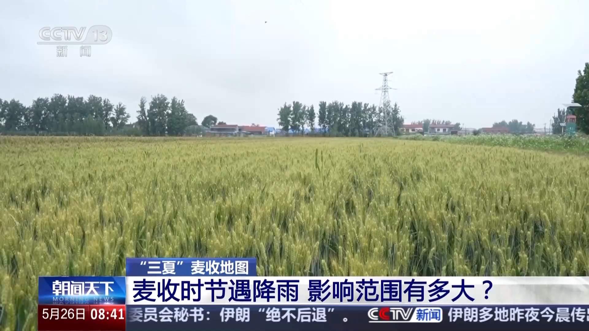 视频丨麦收时节遇降雨 影响范围有多大？专家解读