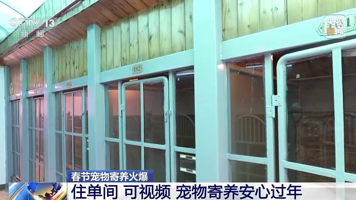 寄养一房难求、上门喂养走红 宠物经济成春节消费亮点