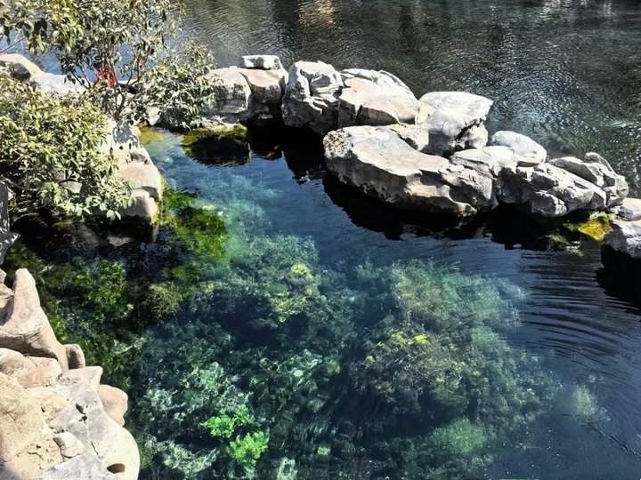 济南护城河“美容师”：一船一杆守护“一池清水”